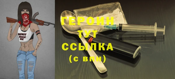 гашик Алексин