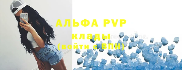гашик Алексин