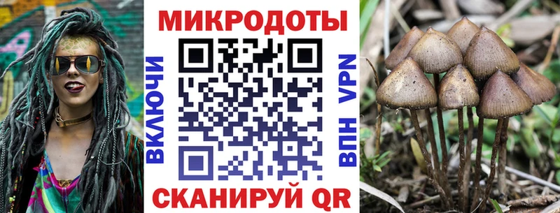 Псилоцибиновые грибы Cubensis  закладка  Рубцовск 